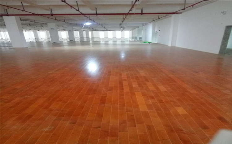 枫桦木舞蹈室木地板怎么选
