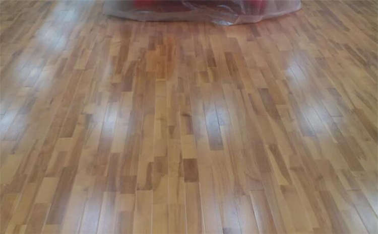 湖南枫木体育木地板多少钱一平方